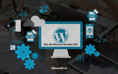 Why WordPress is the Best CMS